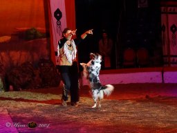 Circus YAKARI Show am 04.10.2024